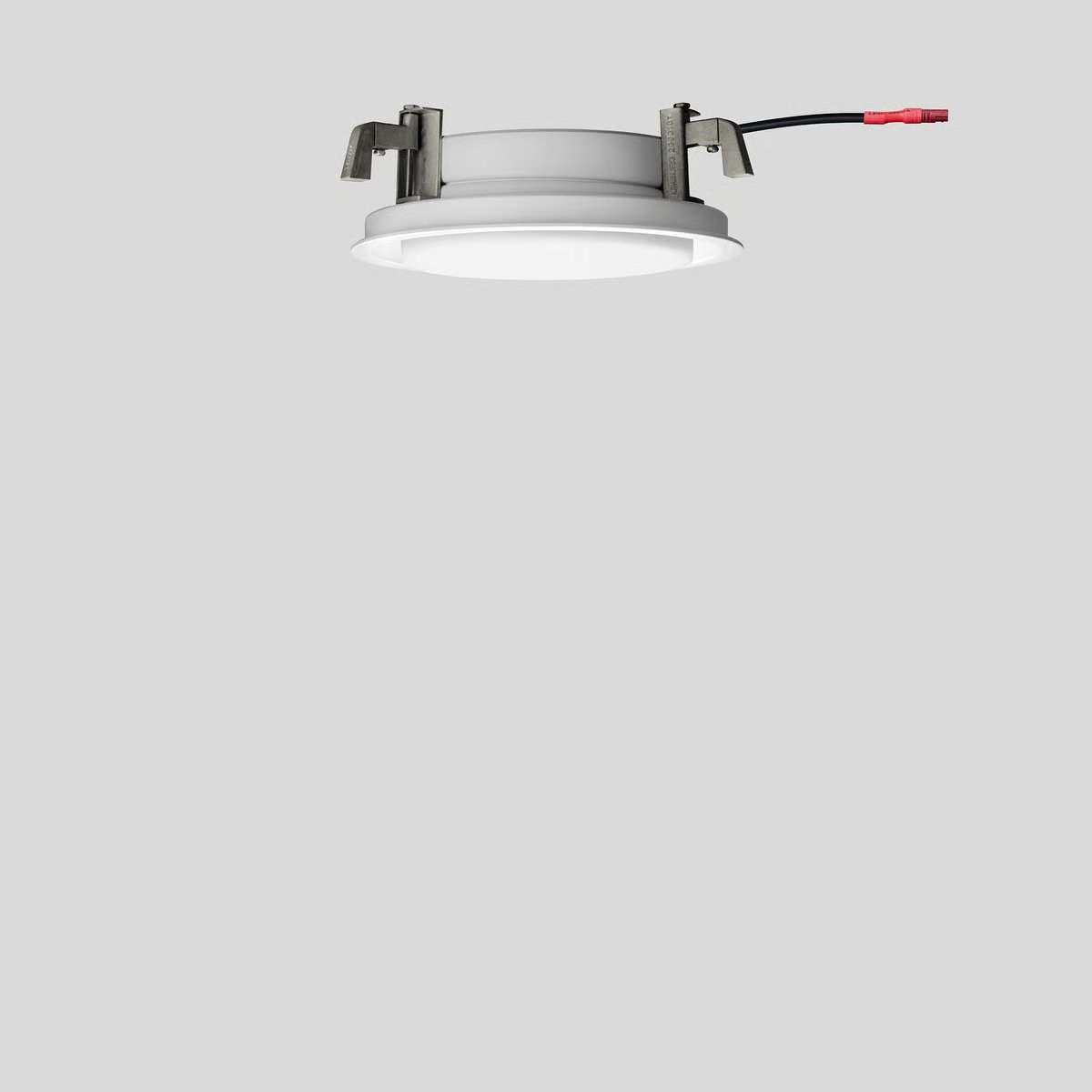 image - 2026-02-01T152054.746