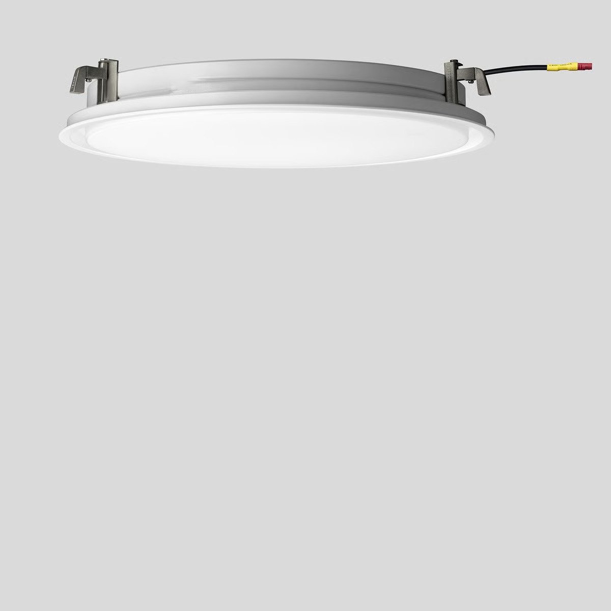 image - 2026-02-01T154030.651